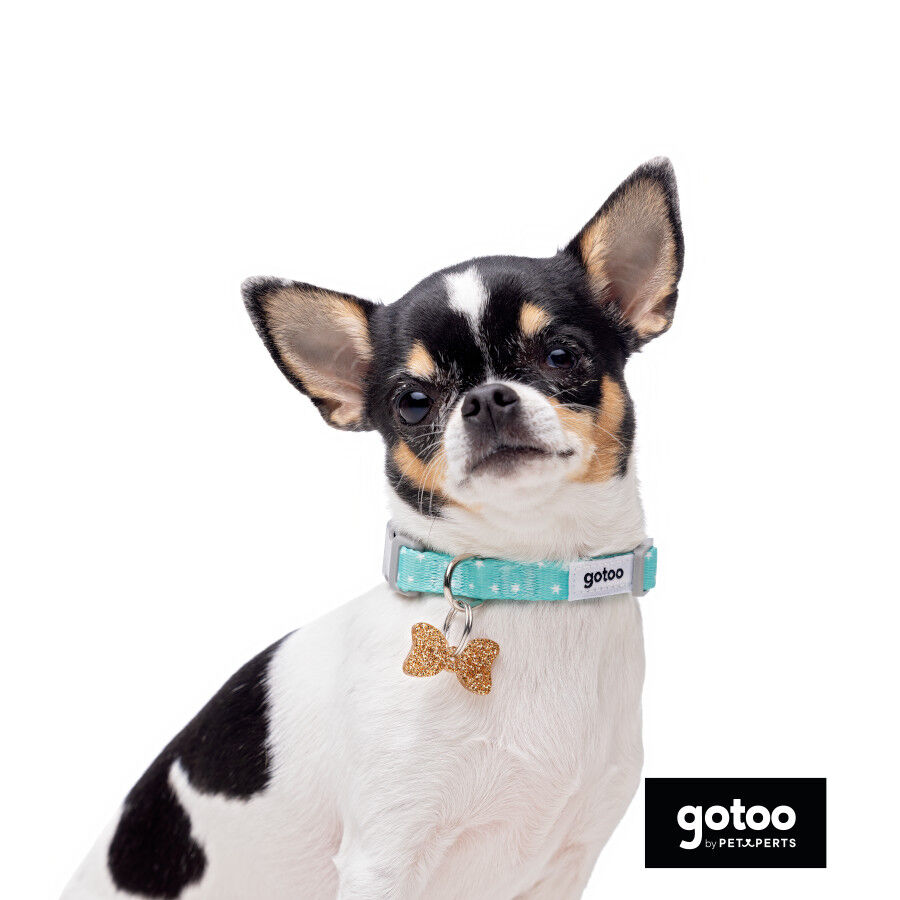 Gotoo Set Correa y Collar estampado con estrellas verde para perros, , large indicador imagen numero 6