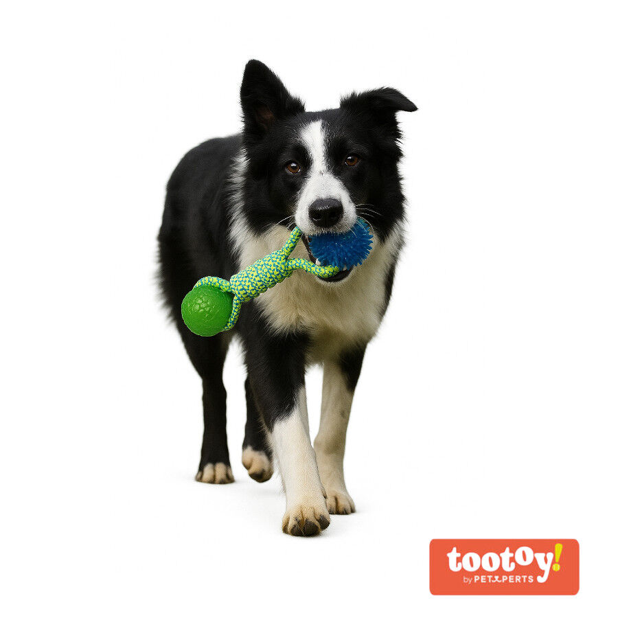 Tootoy! Mordedor de Cuerda con Pelotas de Goma para perros