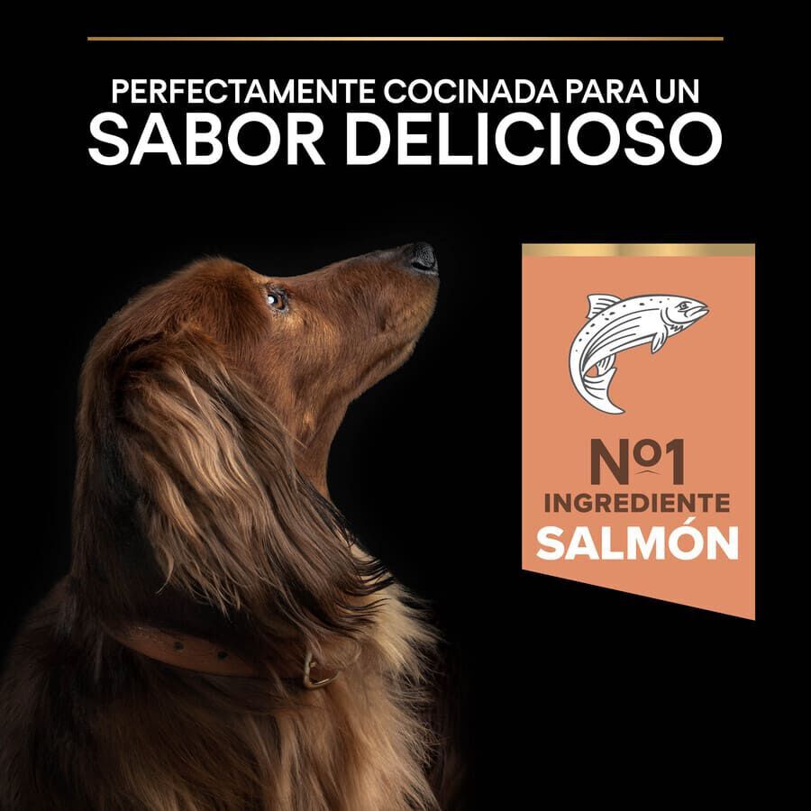 3 kg Pro Plan Adult Small y Mini Salm&oacute;n Sensitive Skin pienso para perros, , large Imagen numero 7