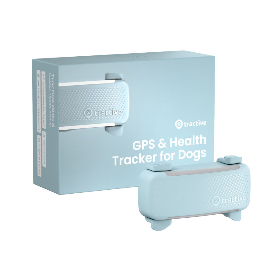 Tractive GPS Dog 6 Menta Rastreador para perros, , large Imagen numero 1