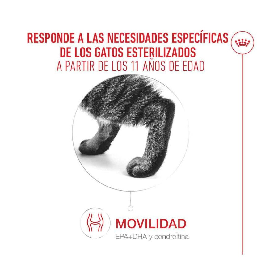 2 kg Royal Canin Ageing 11+ Sterilised pienso para gatos&nbsp;senior, , large indicador imagen numero 6