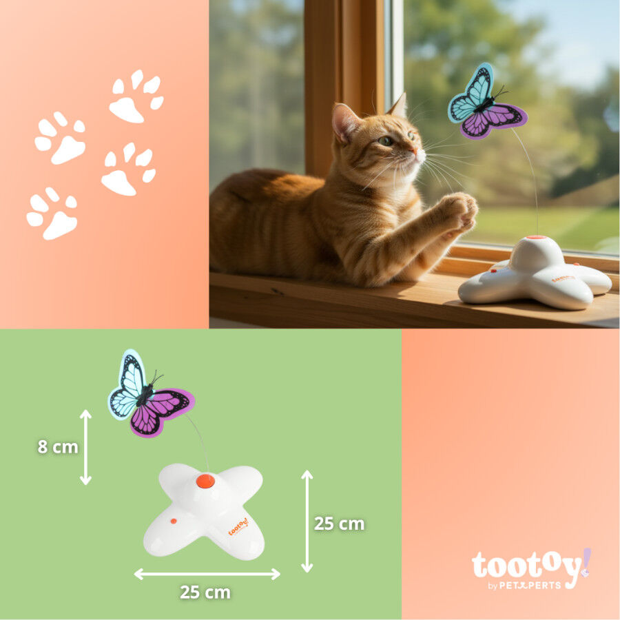 Tootoy! Mariposa Se&ntilde;uelo Interactiva para gatos, , large indicador imagen numero 6