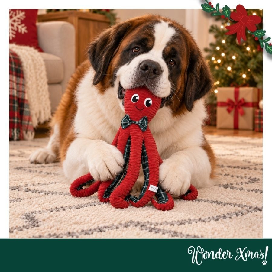 Wonder Christmas Pulpo XL Peluche para perros, , large Imagen numero 2