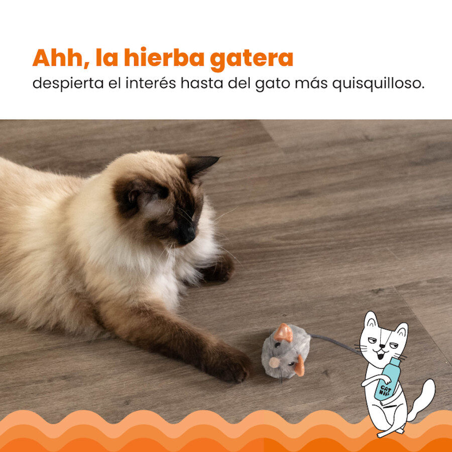 Catstages Squeaky Squeaky Gris Rat&oacute;n de Juguete con Catnip para gatos, , large indicador imagen numero 4