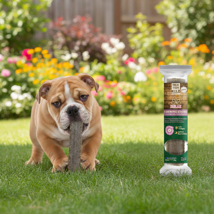 1 ud. True Origins Wild Relax Chewing Sticks Snack para perros, , large indicador imagen numero 1