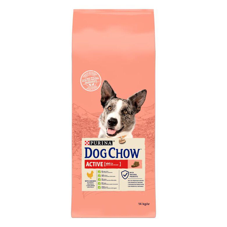 14 kg Dog Chow Active Pollo pienso para perros, , large indicador imagen numero 1