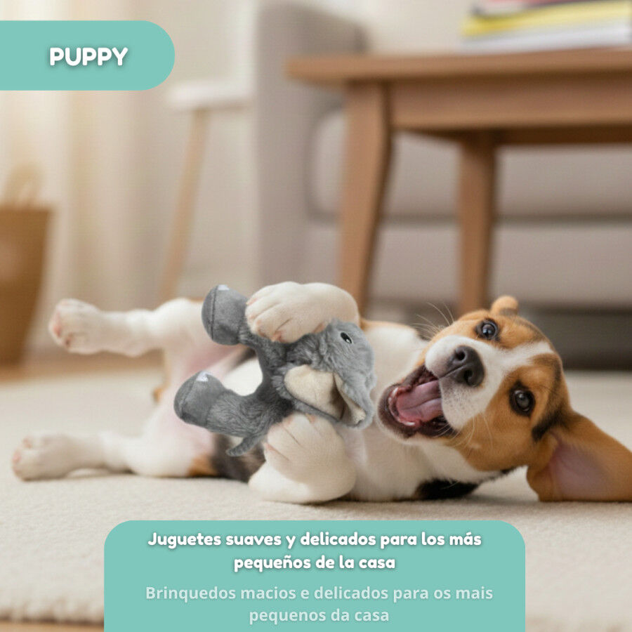Tootoy! Elefante Mordedor de Peluche para cachorros, , large indicador imagen numero 5