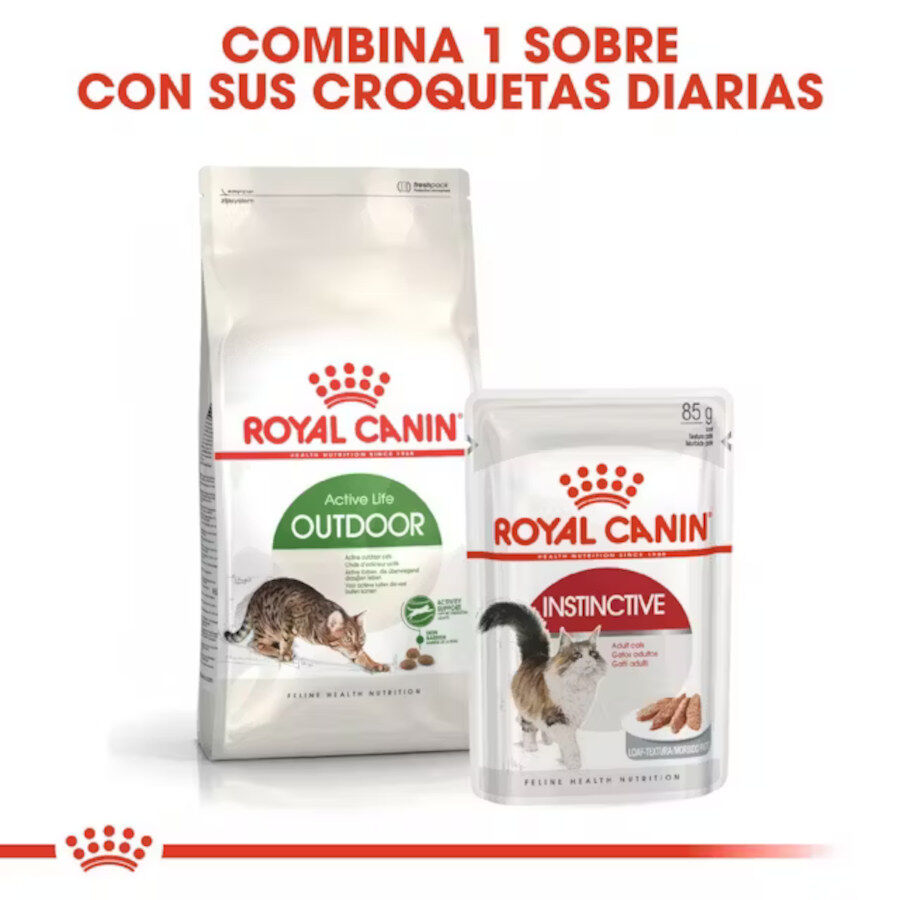 10 kg Royal Canin Active Life Outdoor pienso para gatos, , large Imagen numero 7
