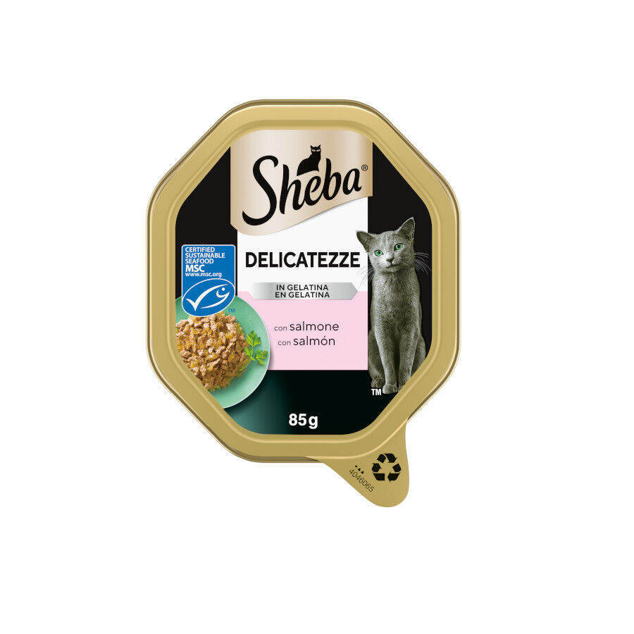 85 g Sheba Delicatezze Tarrina Gelatina Salm&oacute;n para gatos, , large indicador imagen numero 1