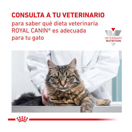 12 sobres x 85 g Royal Canin Veterinary Gastrointestinal Moderate Calorie sobre para gatos, , large Imagen numero 7