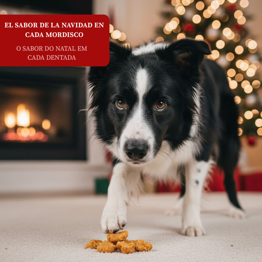 80 g Wonder Christmas Nuggets de Pollo Navide&ntilde;os para perros, , large indicador imagen numero 4