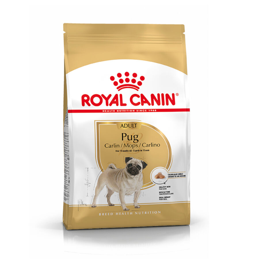 3 kg Royal Canin Adult Pug pienso para perros, , large Imagen numero 1