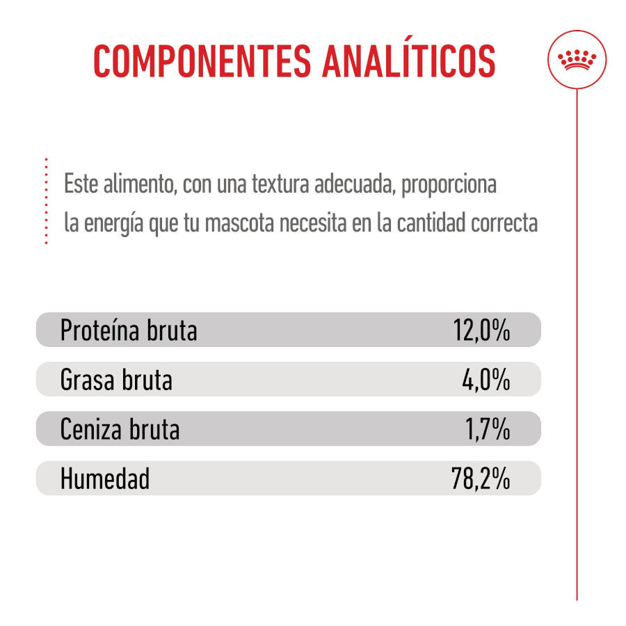 85 g Royal Canin Kitten sobre en salsa para gatos, , large Imagen numero 8