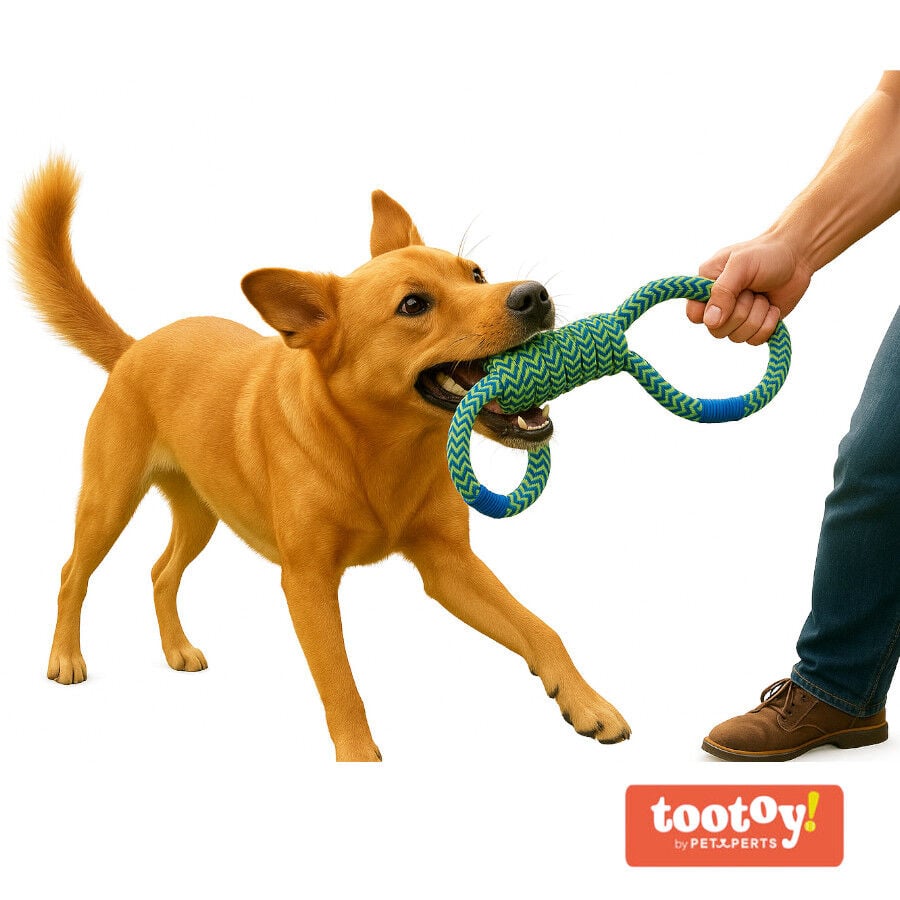 Tootoy! Mordedor de Cuerda Doble para perros, , large indicador imagen numero 8