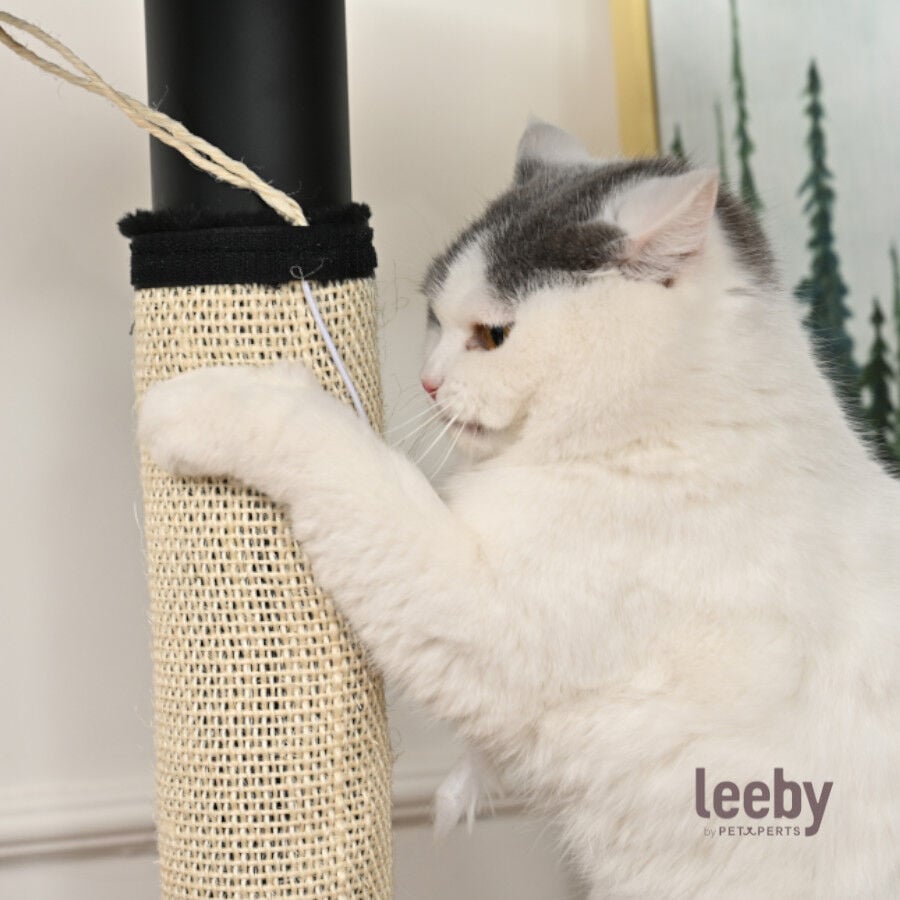 Leeby Tito rascador para pata de mesa con juguete para gatos