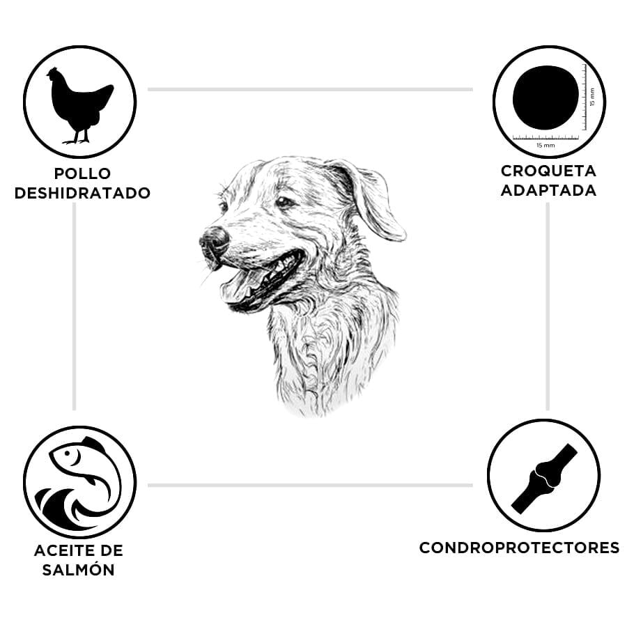 15 kg Criadores Pollo y Arroz pienso para cachorros de razas grandes, , large indicador imagen numero 3