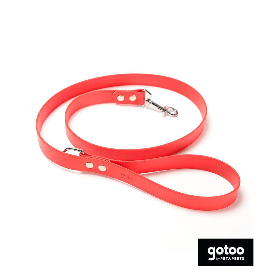 Gotoo Correa Biothane roja para perros, , large indicador imagen numero 2