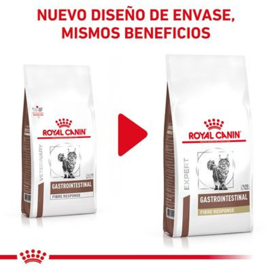4 kg Royal Canin Veterinary Gastrointestinal Fibre Response pienso para gatos, , large Imagen numero 2