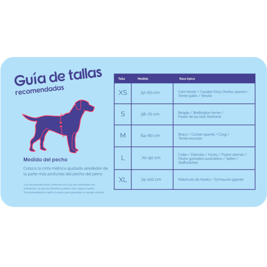Halti arn&eacute;s acolchado de nylon rojo para perros, , large indicador imagen numero 4