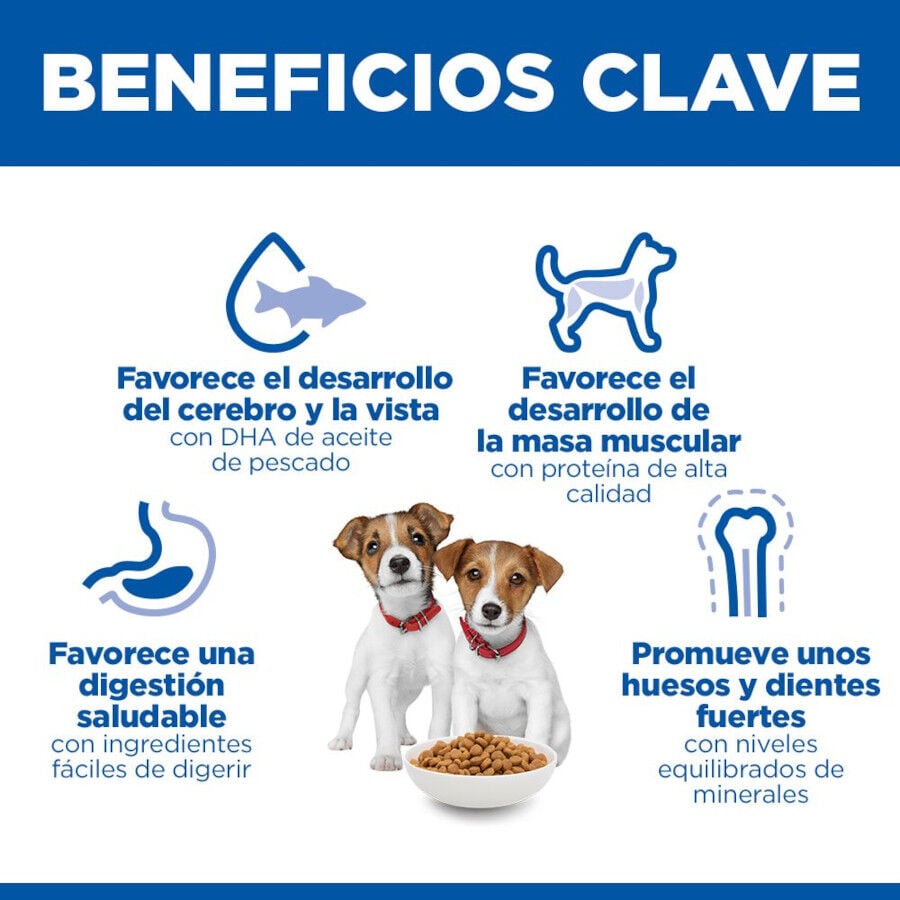 6 kg Hill's Science Plan Puppy Small y Mini Pollo Pienso para cachorros, , large Imagen numero 5