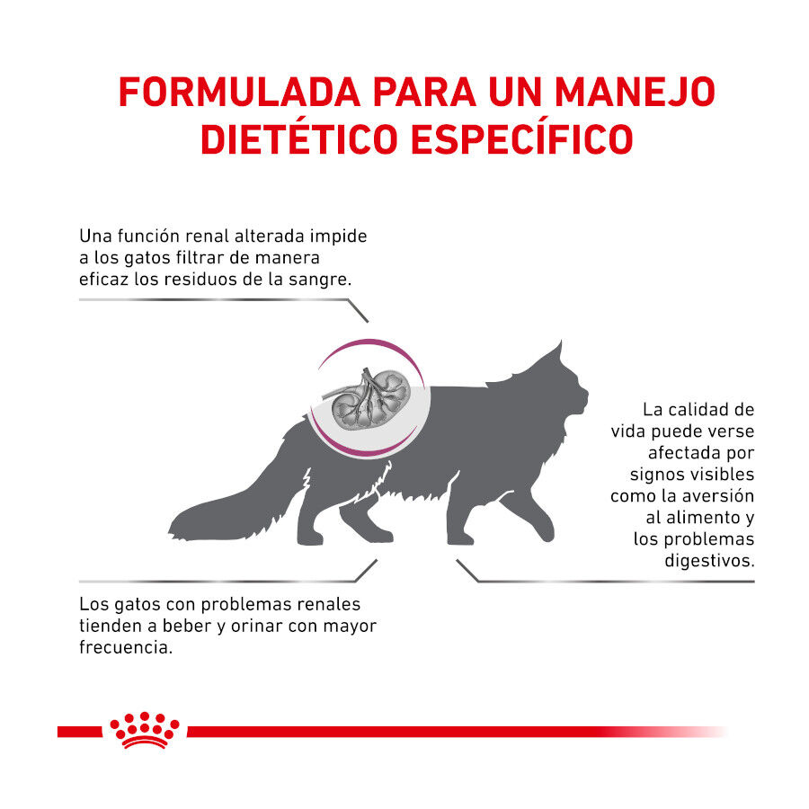 4 kg Royal Canin Veterinary Renal Select pienso para gatos, , large indicador imagen numero 3