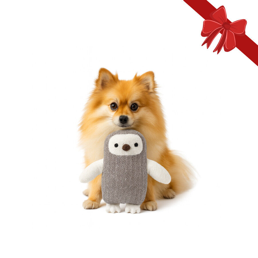 Wonder Christmas Peluche Forest Owl B&uacute;ho para perros, , large indicador imagen numero 1