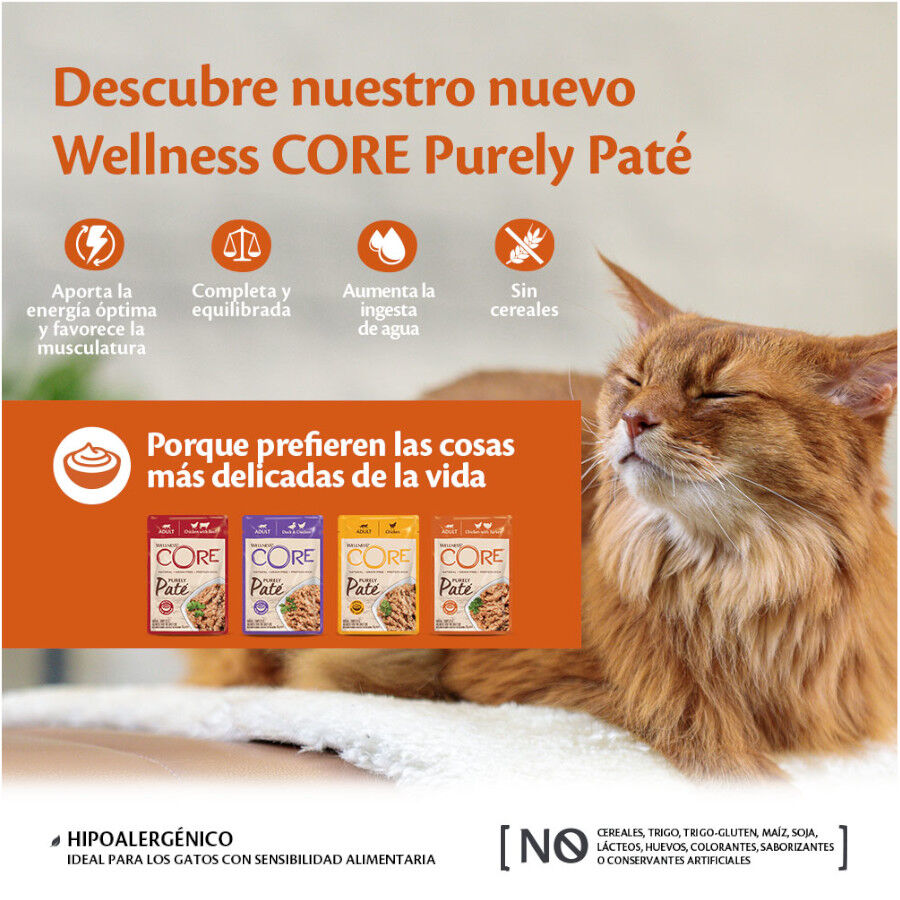 85 g Wellness Core Adult Purely Pollo en Pat&eacute; Sobre para gatos, , large Imagen numero 3