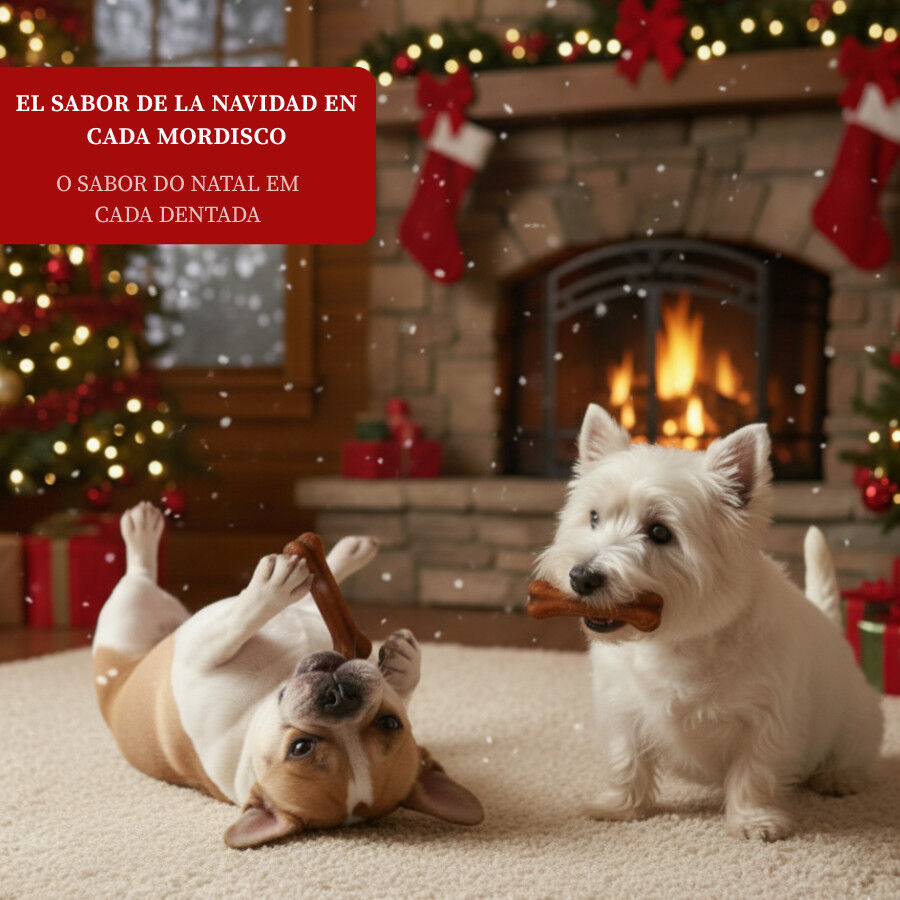 2 huesos Wonder Christmas Hueso Prensado para perros, , large indicador imagen numero 4