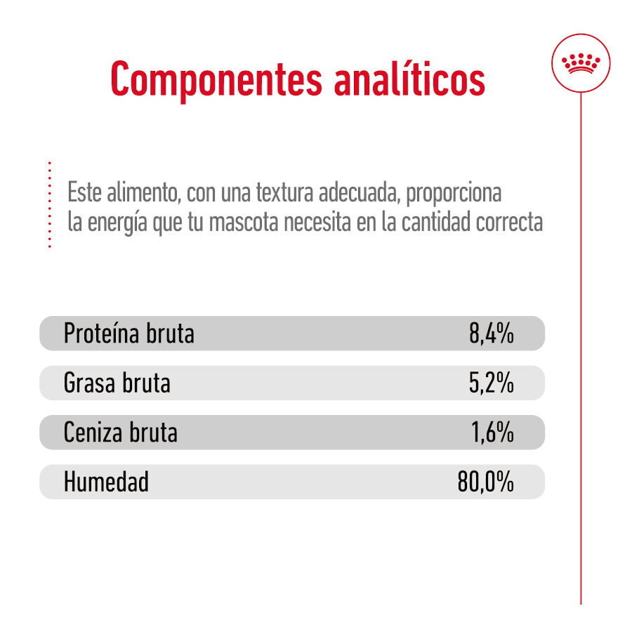 410 g Royal Canin Maxi Ageing 5+ Pat&eacute; lata para perros&nbsp;senior, , large indicador imagen numero 3