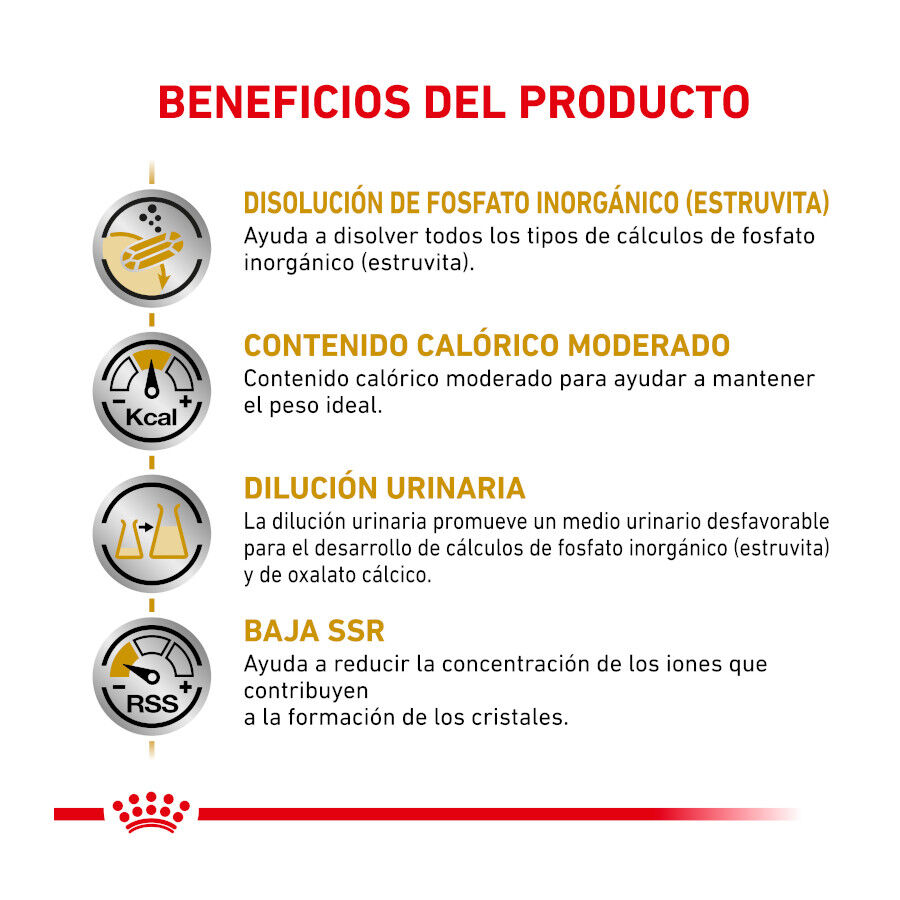 9 kg Royal Canin Veterinary Urinary Moderate Calorie pienso para gatos, , large Imagen numero 4
