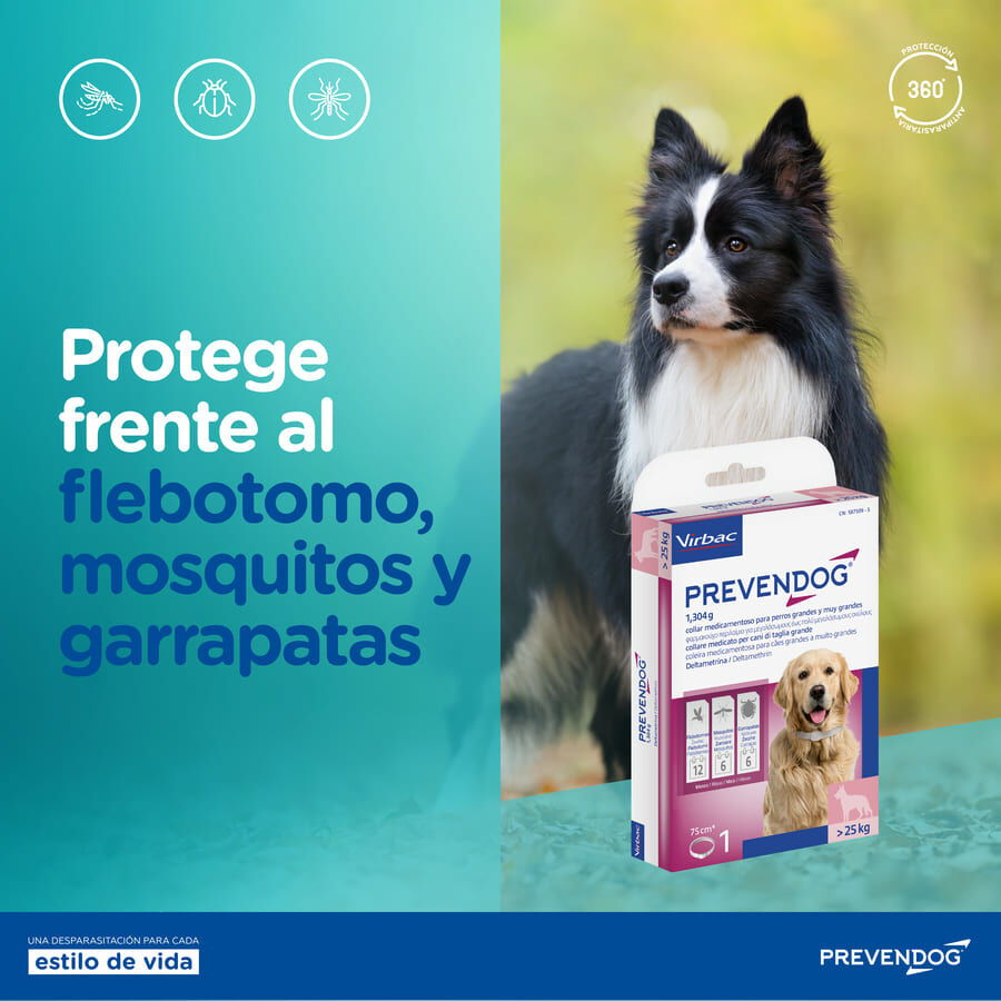Virbac Prevendog Collar Antiparasitario para perros, , large Imagen numero 7