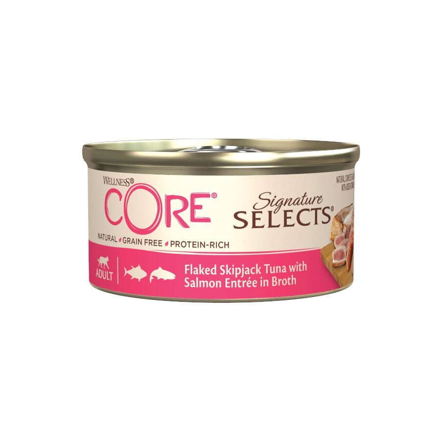 79 g Wellness Core Flaked Salm&oacute;n lata para gatos, , large Imagen numero 1