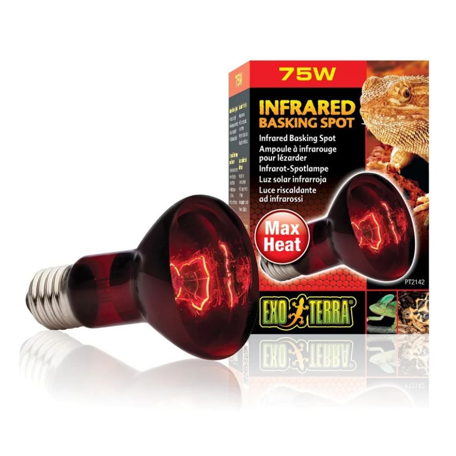 Exoterra Luz Solar infrarroja para terrarios