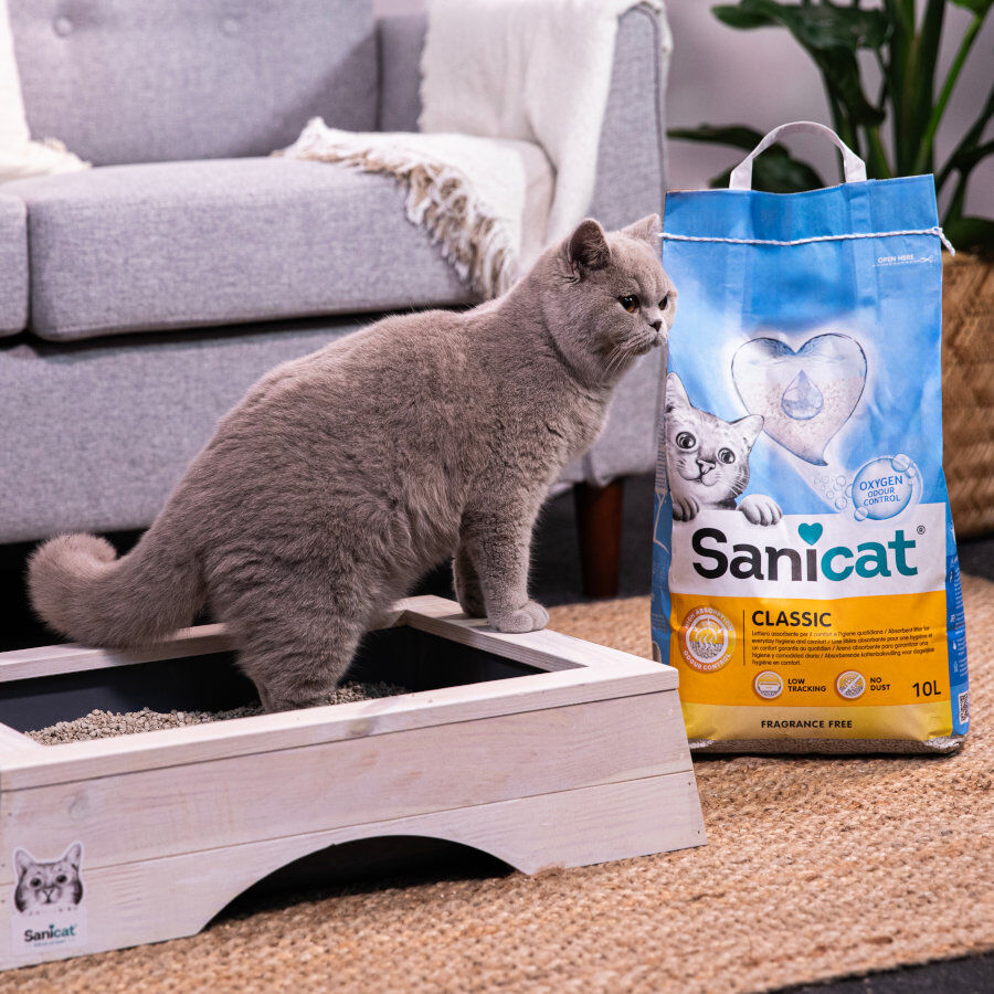 10 L Sanicat Classic Arena, , large Imagen numero 4