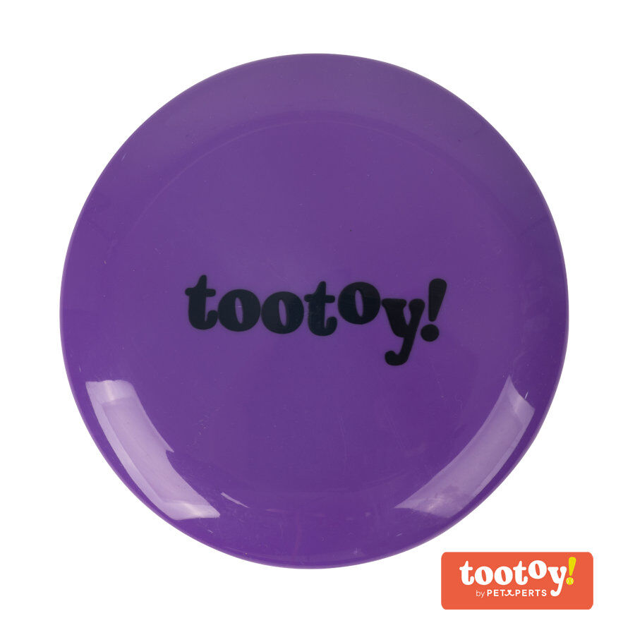 Tootoy! Flying disc Purple Frisbee Morado para perros
