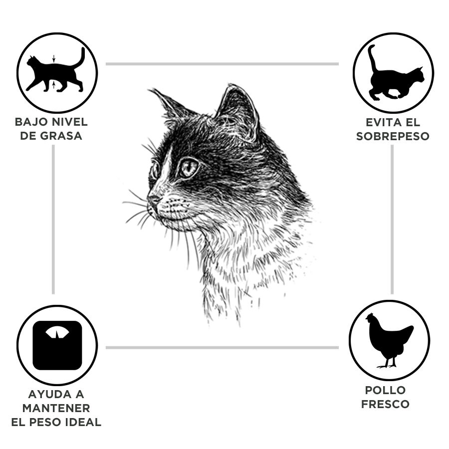 12 kg Criadores Adulto Esterilizado Pollo pienso para gatos, , large indicador imagen numero 2