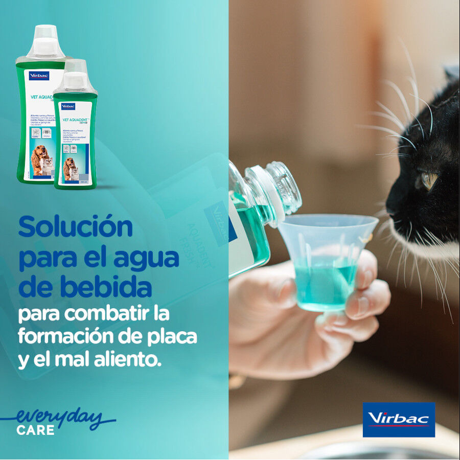 Virbac Vet Aquadent Enjuague Bucal para perros y gatos, , large indicador imagen numero 4