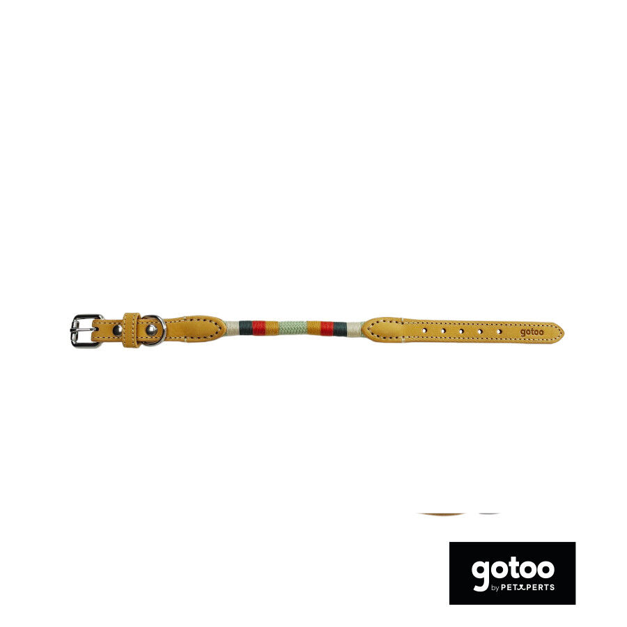 Gotoo Collar cuero verde para perros