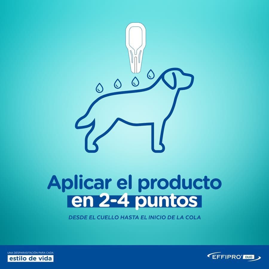 Effipro Duo pipetas antipar&aacute;sitos para perros, , large Imagen numero 5