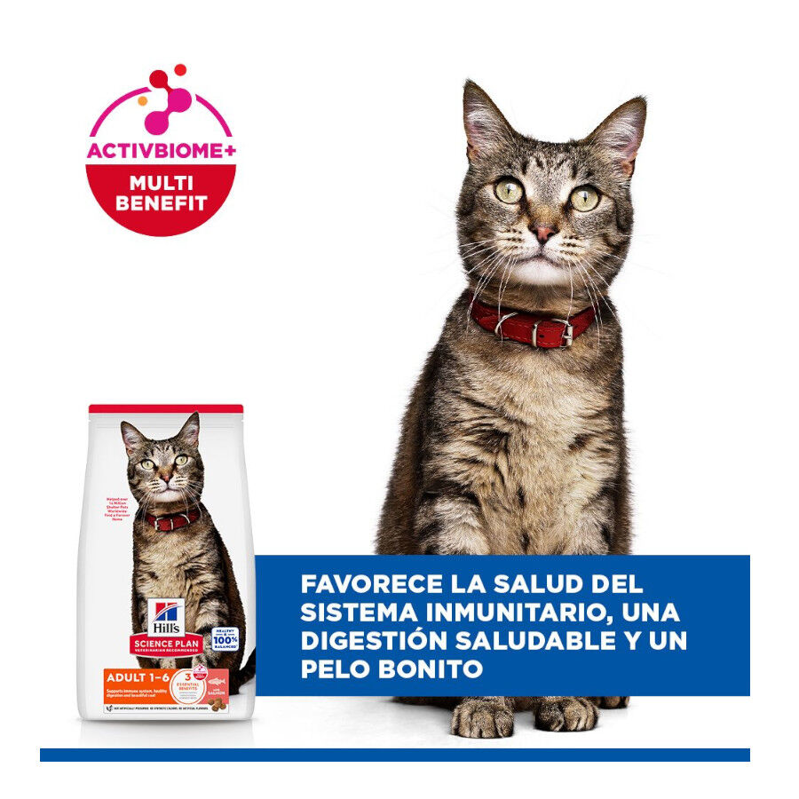 10 kg Hill's Science Plan Adult Pienso Salm&oacute;n para gatos, , large indicador imagen numero 4