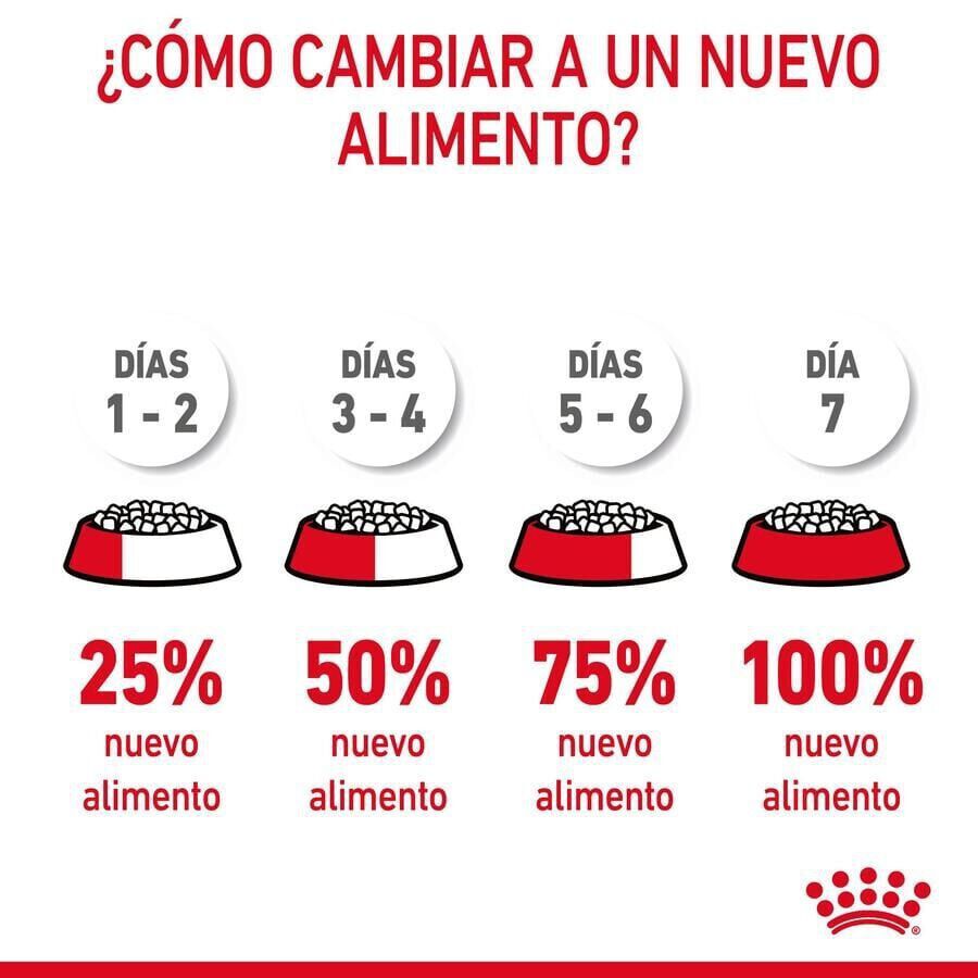 8 kg Royal Canin Adult Light Weight Care pienso para gatos, , large Imagen numero 3