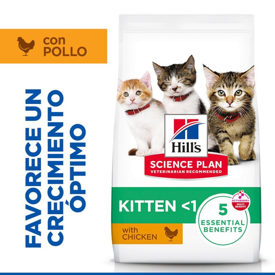 7 kg Hill's Science Plan Kitten Pollo pienso para gatos, , large indicador imagen numero 2