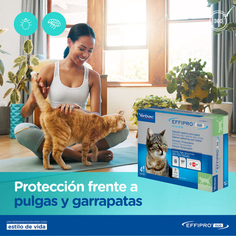Virbac Effipro Duo Pipetas Antiparasitarias para gatos, , large indicador imagen numero 7