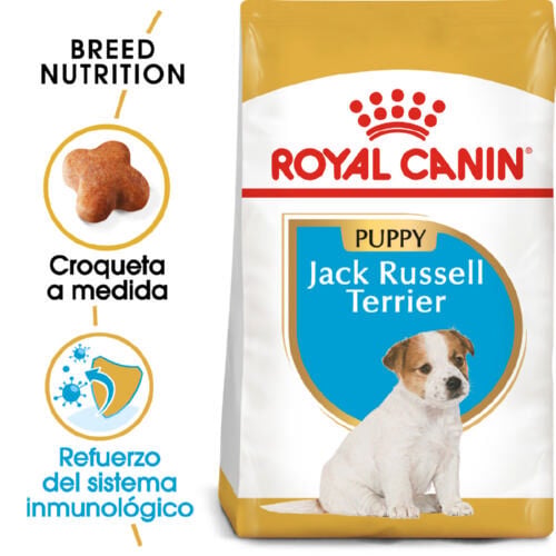 Royal Canin Puppy Jack Russell Terrier pienso para perros