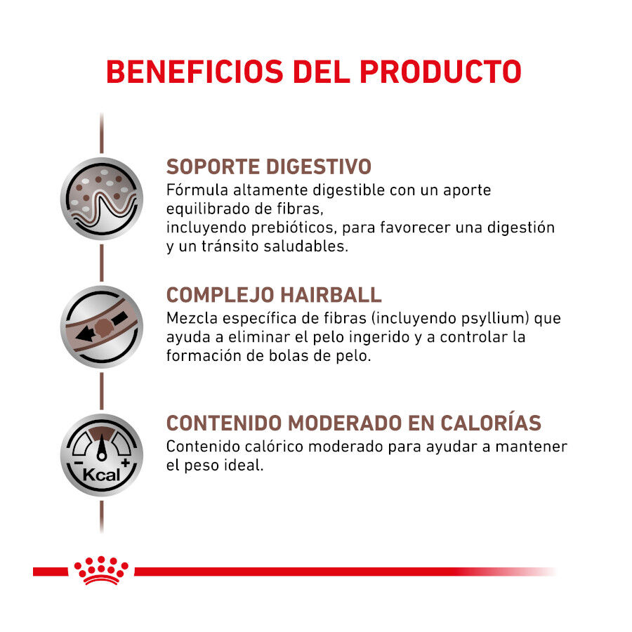 2 kg Royal Canin Veterinary Gastrointestinal Hairball pienso para gatos, , large Imagen numero 4