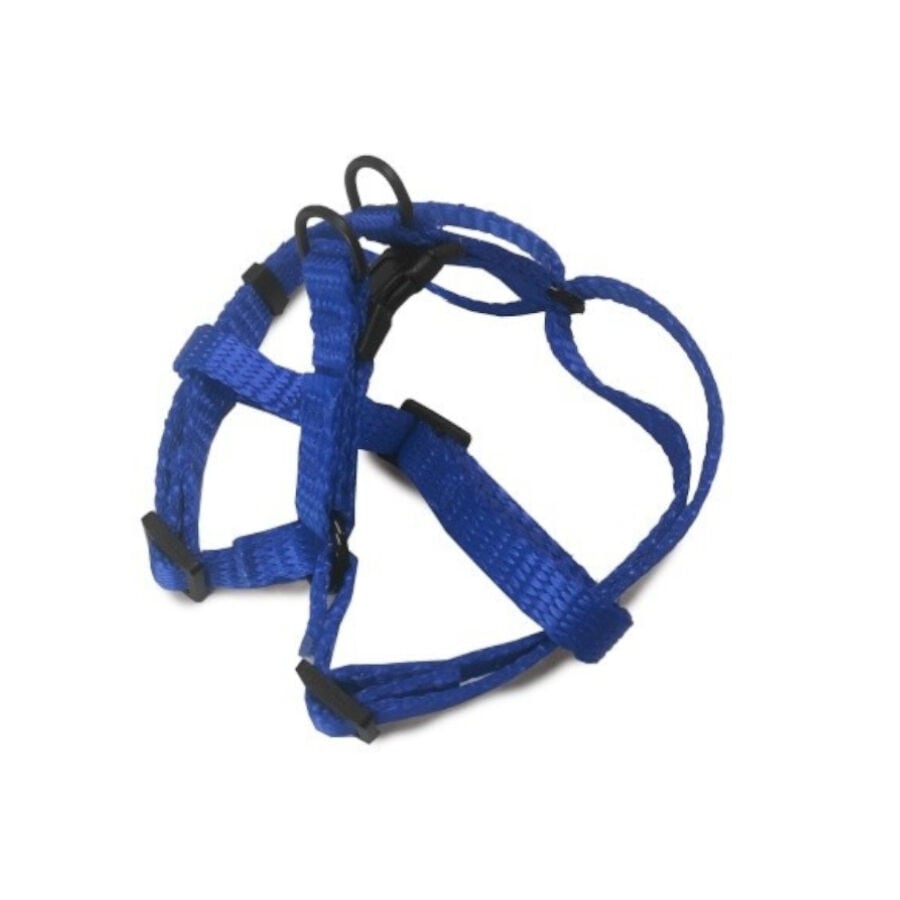 Outech Arn&eacute;s azul para perros, , large Imagen numero 1