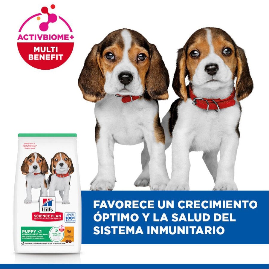 18 kg Hill's Science Plan Puppy Medium pollo pienso para perro, , large indicador imagen numero 4