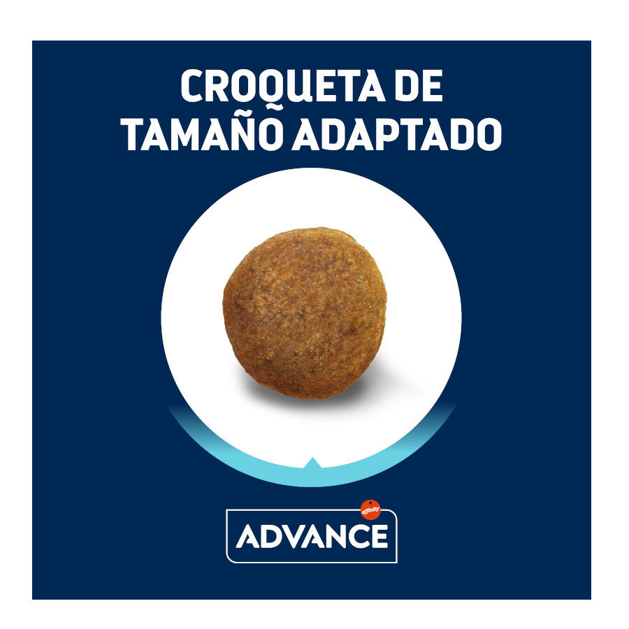 12 kg Advance Active Defense Pastor Alem&aacute;n Adult pienso para perros, , large indicador imagen numero 3