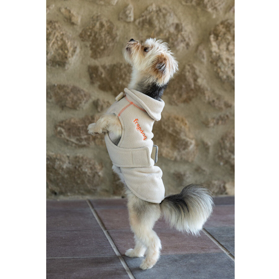 Freedog Polar Snowpuff Beige para perros, , large indicador imagen numero 3