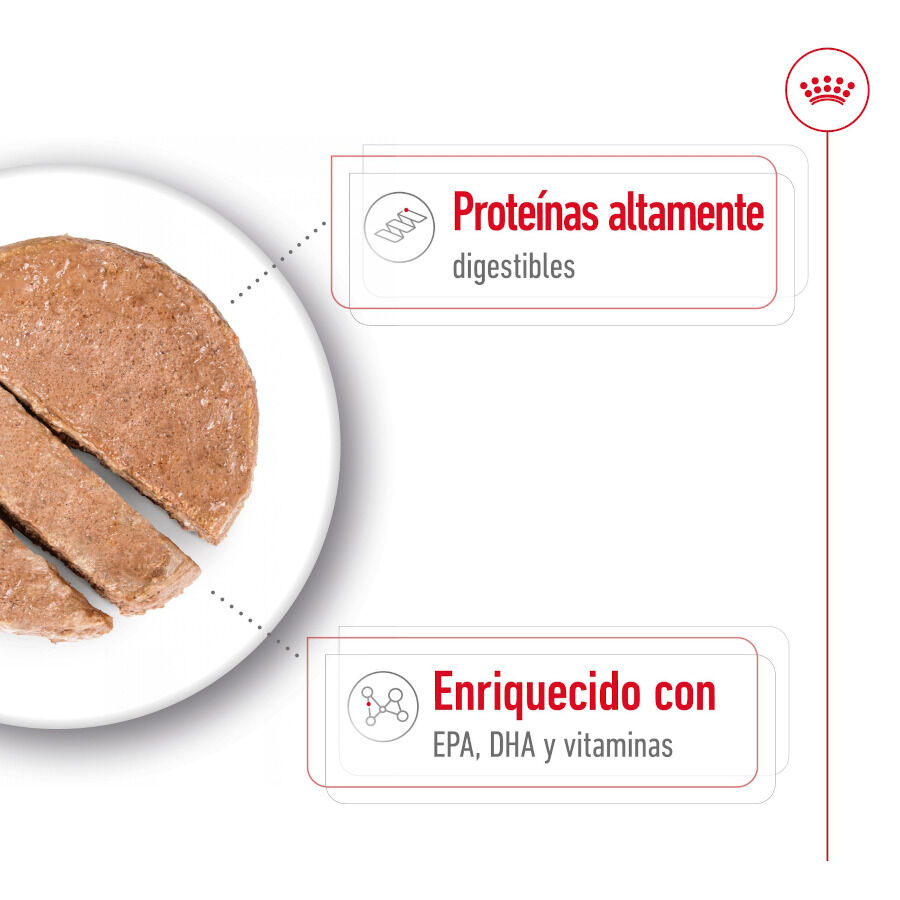 410 g Royal Canin Maxi Ageing 5+ Pat&eacute; lata para perros&nbsp;senior, , large Imagen numero 2